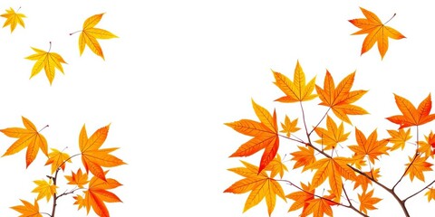 Isolated autumn maple leaves, vibrant golden-orange-brown hues against a plain backdrop,  season,  graphic
