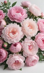 Delicate pink peonies & roses bouquet  White backdrop  Copy space , beautiful, pink, photo