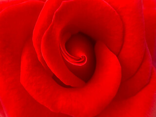 A close-up of a crimson rose reveals velvety layers, gently fading into a smooth, unfocused background.