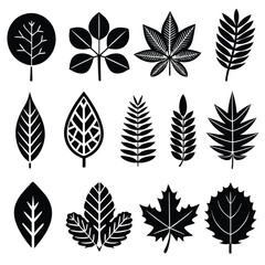 Vector Leaf Icons 15 Unique Black Silhouette Designs for Nature Projects