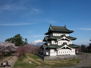 桜と津軽富士岩木山と弘前城天守 2025