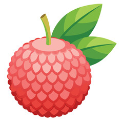 lychee vector