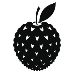 vector illustration of an lychee
