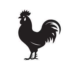 Rooster or cockerel isolated on white, a vector illustration of a farm bird with feathers and a beak, a domestic animal for agriculture