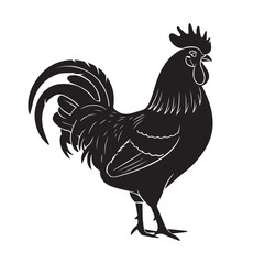 Rooster chicken farm bird animal vector silhouette isolated on white background