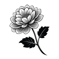 black and white flower creative clipart