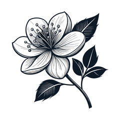 abstract floral background creative clipart