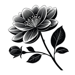 Obraz premium black and white flower creative clipart