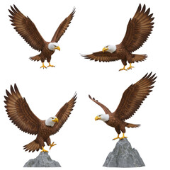 Fototapeta premium Set of 4 Cartoon Eagles Flying and Perched on Rocks