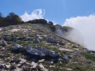 Scatti Vari