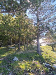 Obraz premium Scatti Vari