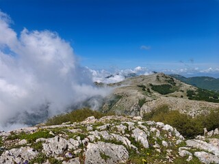 Scatti Vari