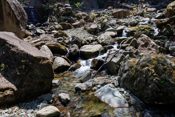 林道の山頂付近まで登ってきた。
金沢川の源流付近の大きな岩が転がる荒々しい河川敷。
新緑が美しい渓谷。
神奈川県清川村、早戸川林道-2025年
