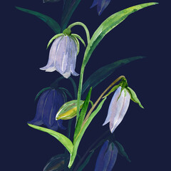 Watercolor bells. Pattern seamless . Image on white and color background.