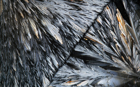 Microscopic view of sugar crystals showing intricate patterns