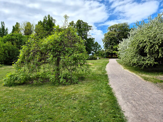 Park
