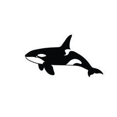 Orca Silhouette – Majestic Killer Whale Marine Life Illustration
