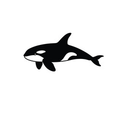 Orca Silhouette – Majestic Killer Whale Marine Life Illustration