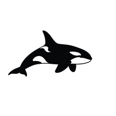 Orca Silhouette – Majestic Killer Whale Marine Life Illustration