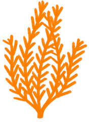 Sea Illustrations © 혜실 이