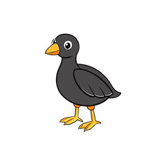Coot Bird Perched Vector Style On White