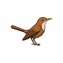 Dipper Bird Perched Vector Style On White