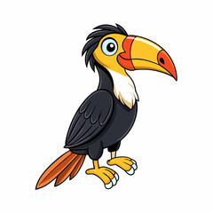 Hornbill Bird Perched On White