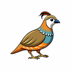 Quail Bird Perched On White