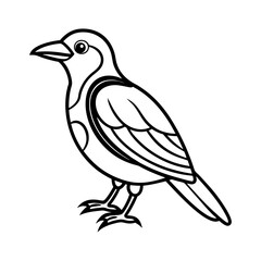 bird vector
