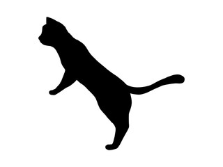 cat silhouette 8　立ち上がって覗き込むネコのシルエット