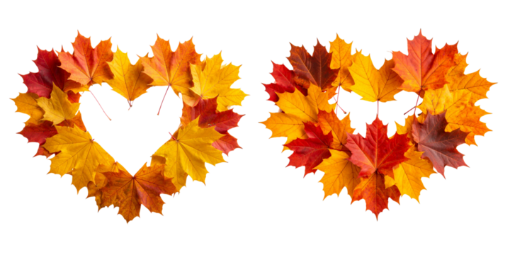 Heart Shaped Autumn Maple Leaf in Vibrant Fall Colors, isolated on transparent background PNG