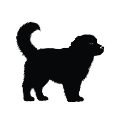 Cute Pomeranian Silhouette