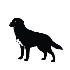 Cute Pomeranian Silhouette