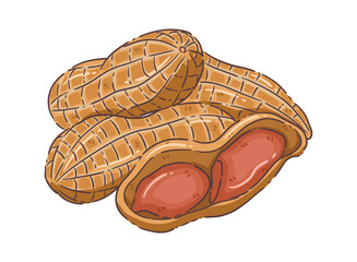 Peanuts