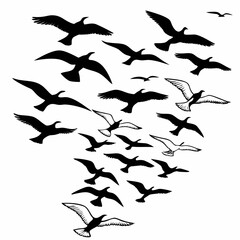 Obraz premium A seamless vector silhouette set of black flying birds, including seagulls, crows, and other wild animals, isolated against the white sky, capturing their wings in nature's ocean wildlife illustration