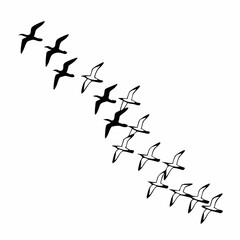 Abstract vector illustration of black bird silhouettes flying in the blue sky or perched on a branch