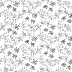 Elegant Black and White Floral Line Art Pattern