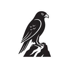 Falcon Sitting Rock Sideways Silhouette