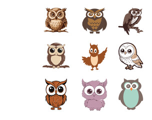 color owl vector image
