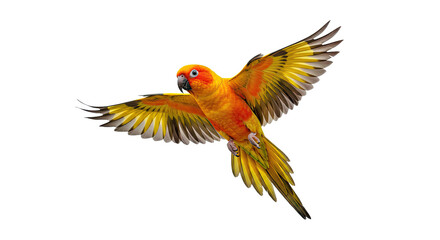 A vibrant Aratinga solstitialis, or Sun Parakeet, captured beautifully in flight and isolated on a transparent background. Perfect for tropical bird, exotic animal, and nature themes. © Slamat