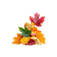 falling autumn leaves png