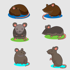 color rat vector 