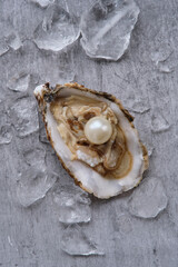 Oyster with the pearl on gray background