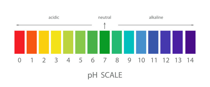 PH Scale. Gauge for acid and alkaline balance. Scale indicator for litmus paper test. Flat Vector illustration.