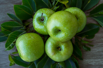 a lot of green ripe apples close-up with water drops