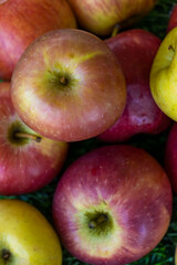 Apples of different varieties such as Granny Smith, Starking, Fuji are on the table