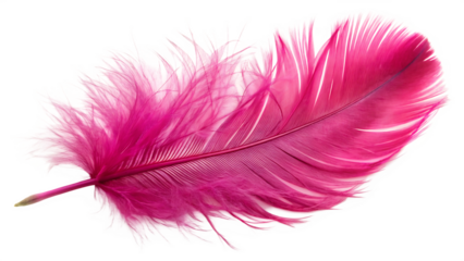 Pink ostrich feather isolated on a white background png ai generated