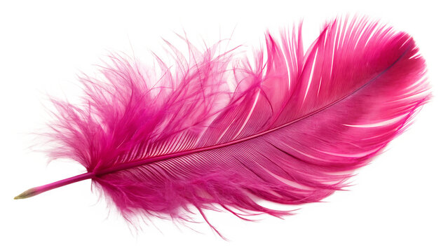 Fototapeta Pink ostrich feather isolated on a white background png ai generated