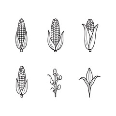 black and white outline design of corn vegetable