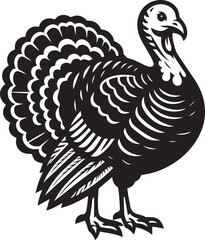 Black and White Turkey Bird Vector Illustration